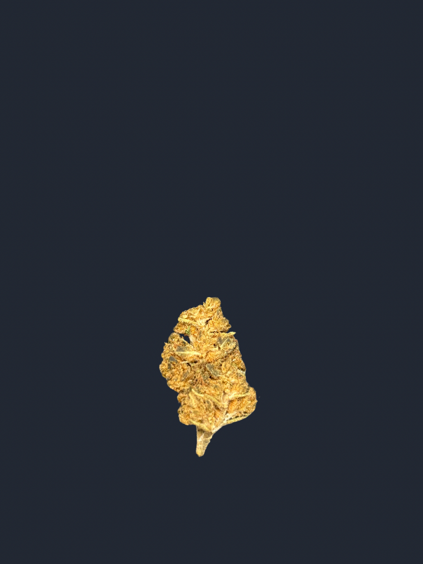 Petites têtes Super Skunk