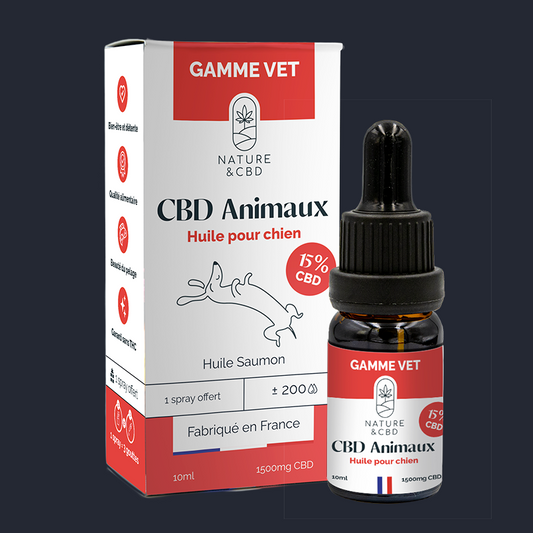 Huile CBD Pour Animaux 15% - chien