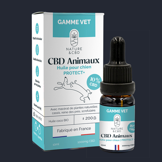 Huile CBD Animaux Protect+ 10% - chien