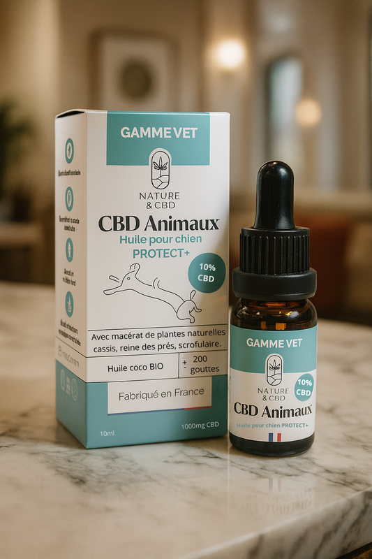 HUILE CBD ANIMAUX PROTECT+ 10% - CHIENS